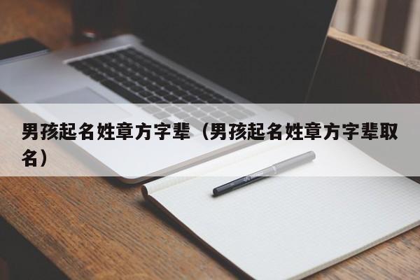 男孩起名姓章方字辈（男孩起名姓章方字辈取名）